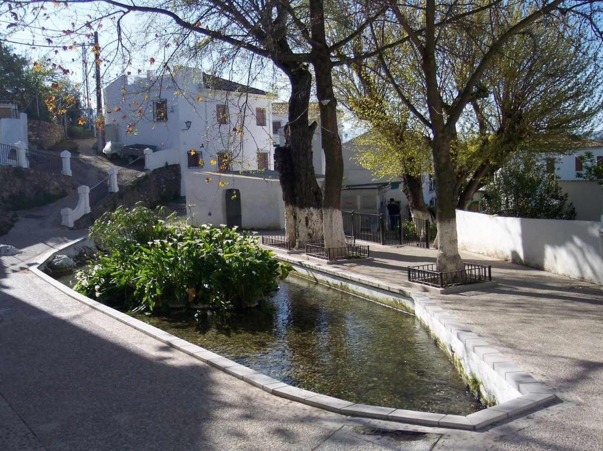 Sierra Alcaide Villa Zagrilla Bagian luar foto